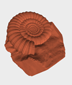 <b>Settings:</b><br>
2.5mm nozzle
| .6 layer height
| spiral preset
| clay speed 1-10